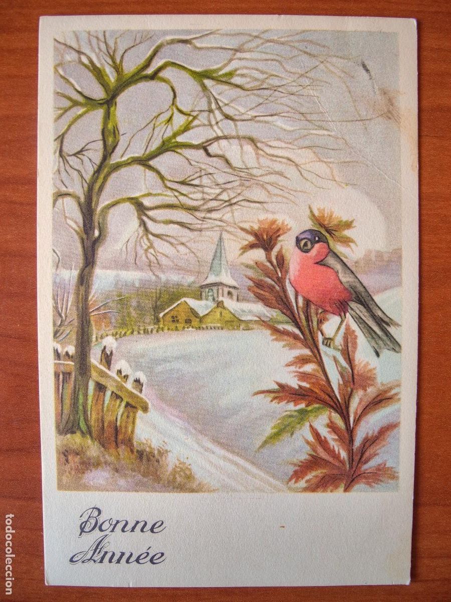 Cartoline: Postal Navidad. P&aacute;jaro pajarito paisaje nevado petirrojo circulada con sello 1956 9x14