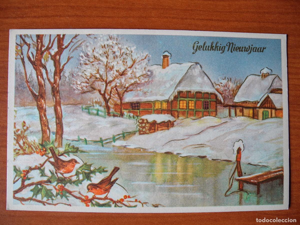 Postcards: Postal Navidad. Paisaje nevado p&aacute;jaro pajarito Escrita 14x9