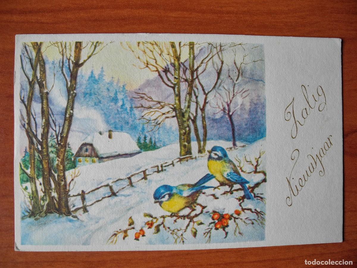 Postcards: Postal Navidad. Paisaje nevado p&aacute;jaro pajarito herrerillos. Escrita 14x9