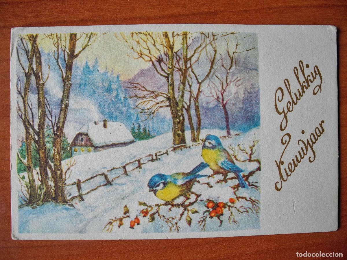 Postcards: Postal Navidad. Paisaje nevado p&aacute;jaro pajarito herrerillos. Trazos dorados Circulada 1960 14x9