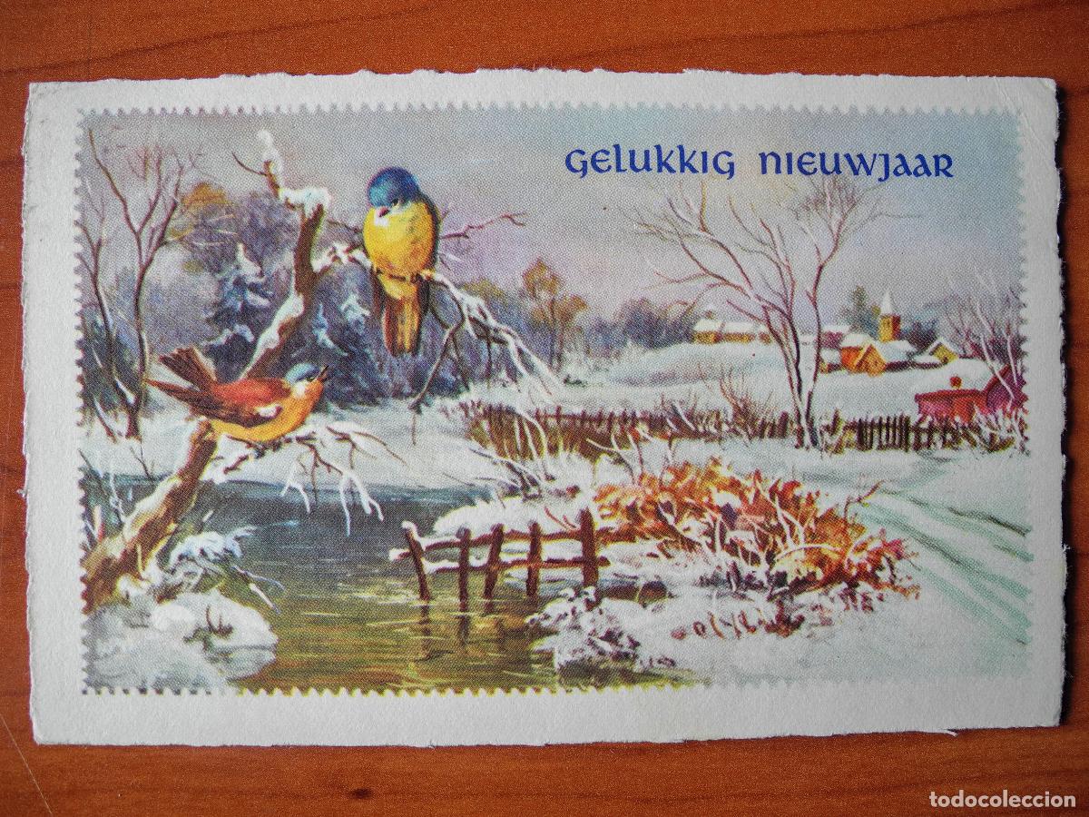 Postcards: Postal Navidad. Paisaje nevado p&aacute;jaro pajarito herrerillos. Circulada con sello 1958 14x9