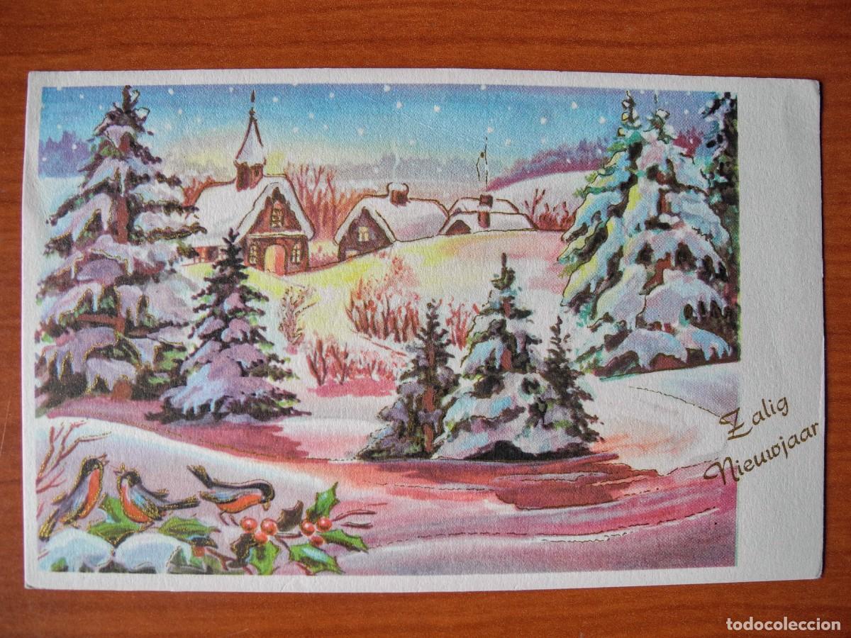 Postcards: Postal Navidad. Paisaje nevado p&aacute;jaro pajarito petirrojo. Trazos dorados. Escrita 14x9