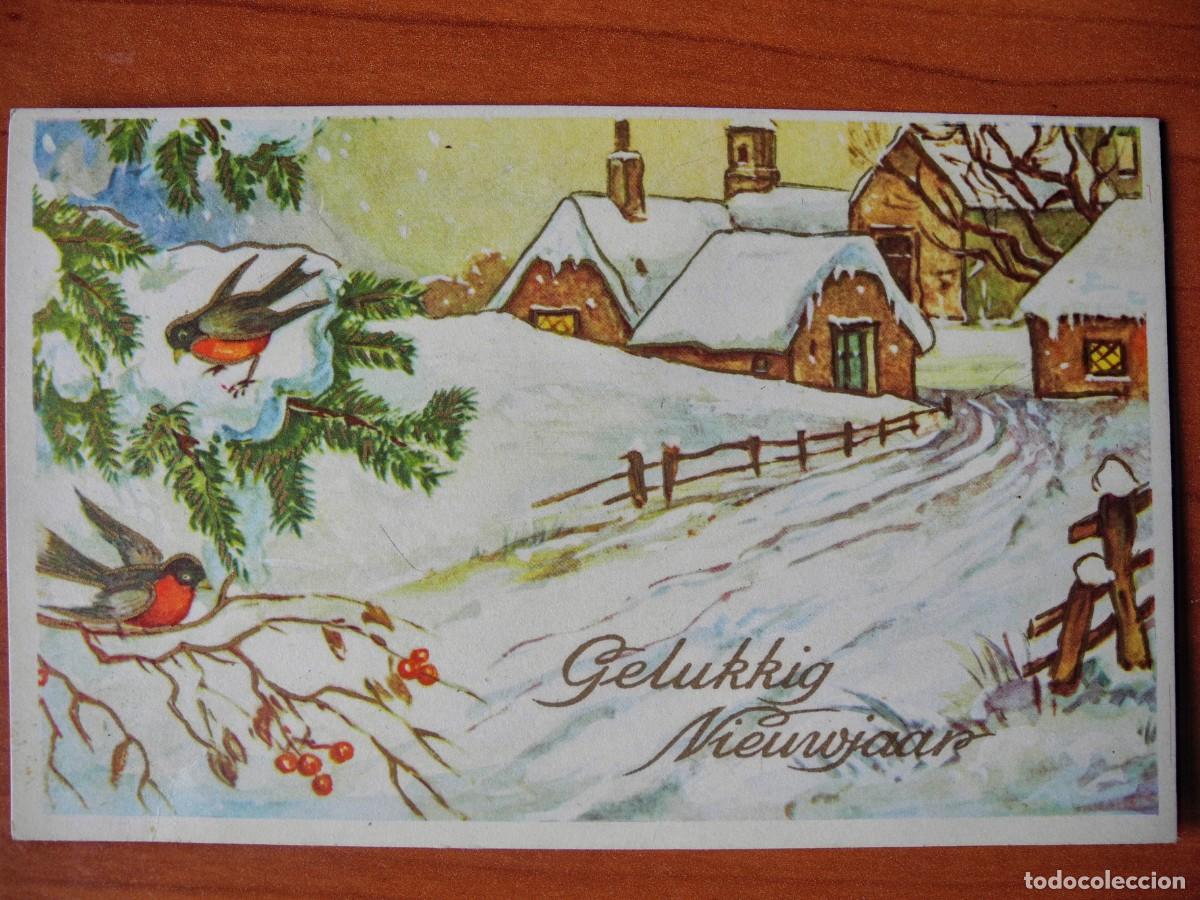 Postcards: Postal Navidad Paisaje nevado p&aacute;jaro pajarito petirrojo Circulada con sello 1963 14x9