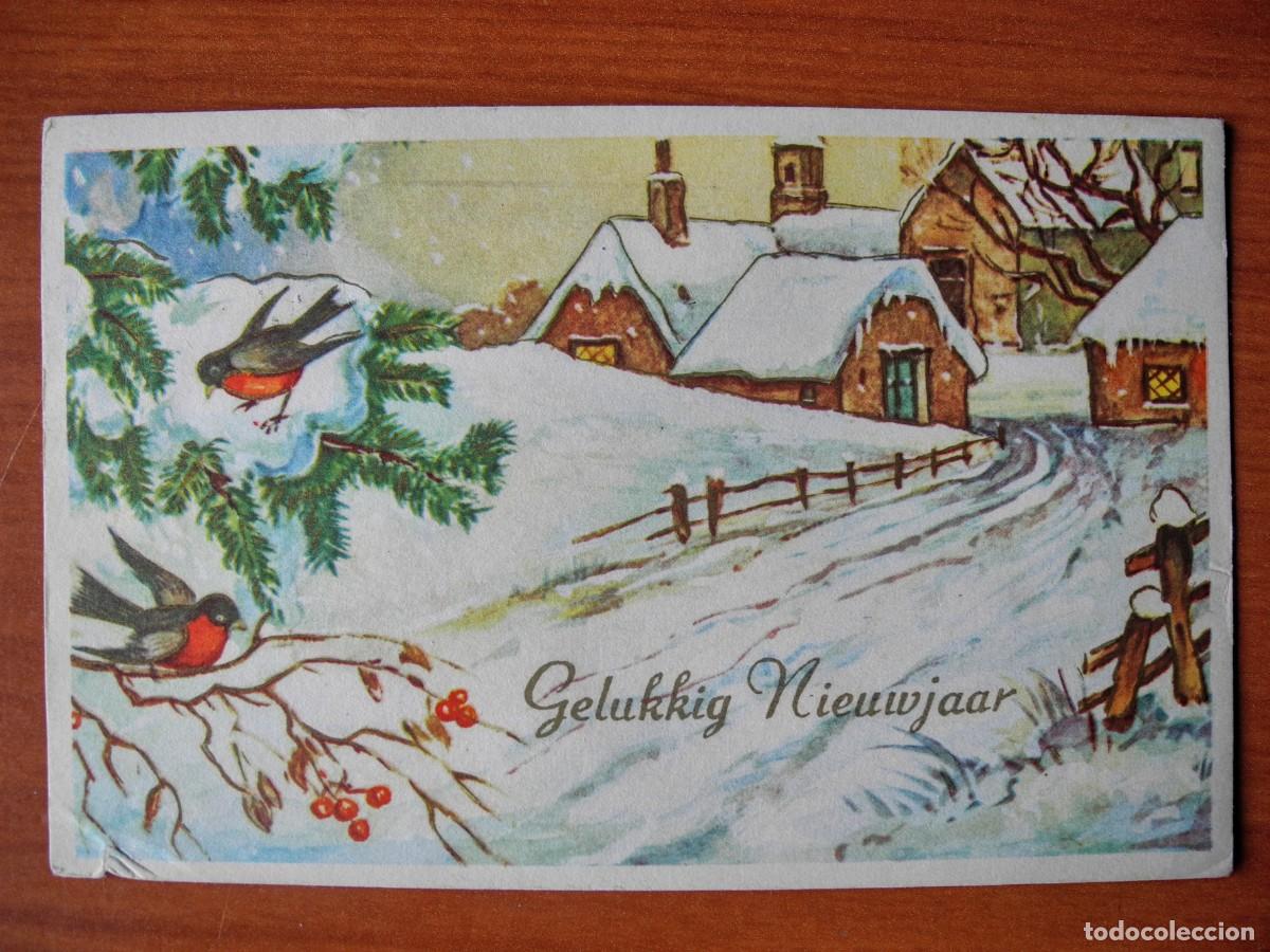 Postcards: Postal Navidad Paisaje nevado p&aacute;jaro pajarito petirrojo Circulada sin sello 14x9