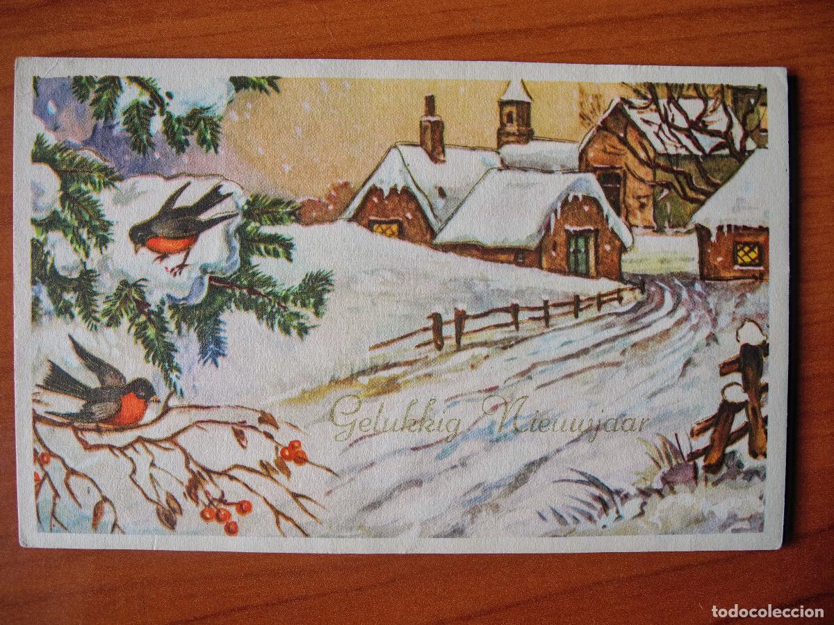 Postais: Postal Navidad Paisaje nevado p&aacute;jaro pajarito petirrojo Trazos dorados Circulada sin sello 14x9