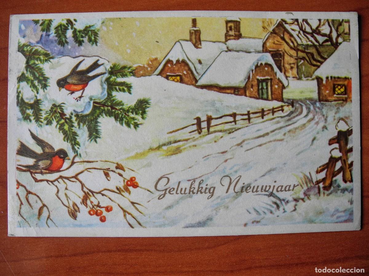 Postais: Postal Navidad Paisaje nevado p&aacute;jaro pajarito petirrojo Circulada sin sello 14x9