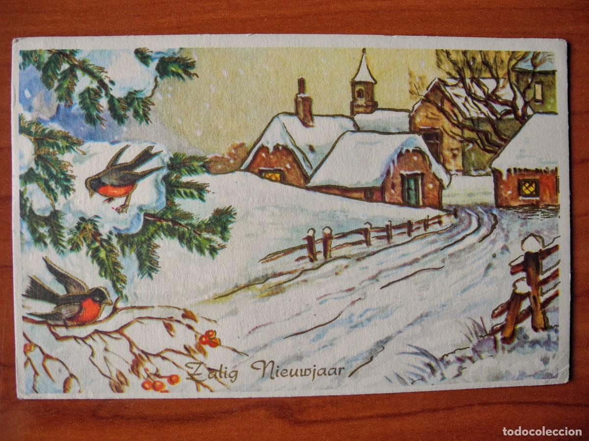 Postais: Postal Navidad Paisaje nevado p&aacute;jaro pajarito petirrojo Trazos dorados Circulada con sello 1984 14x9