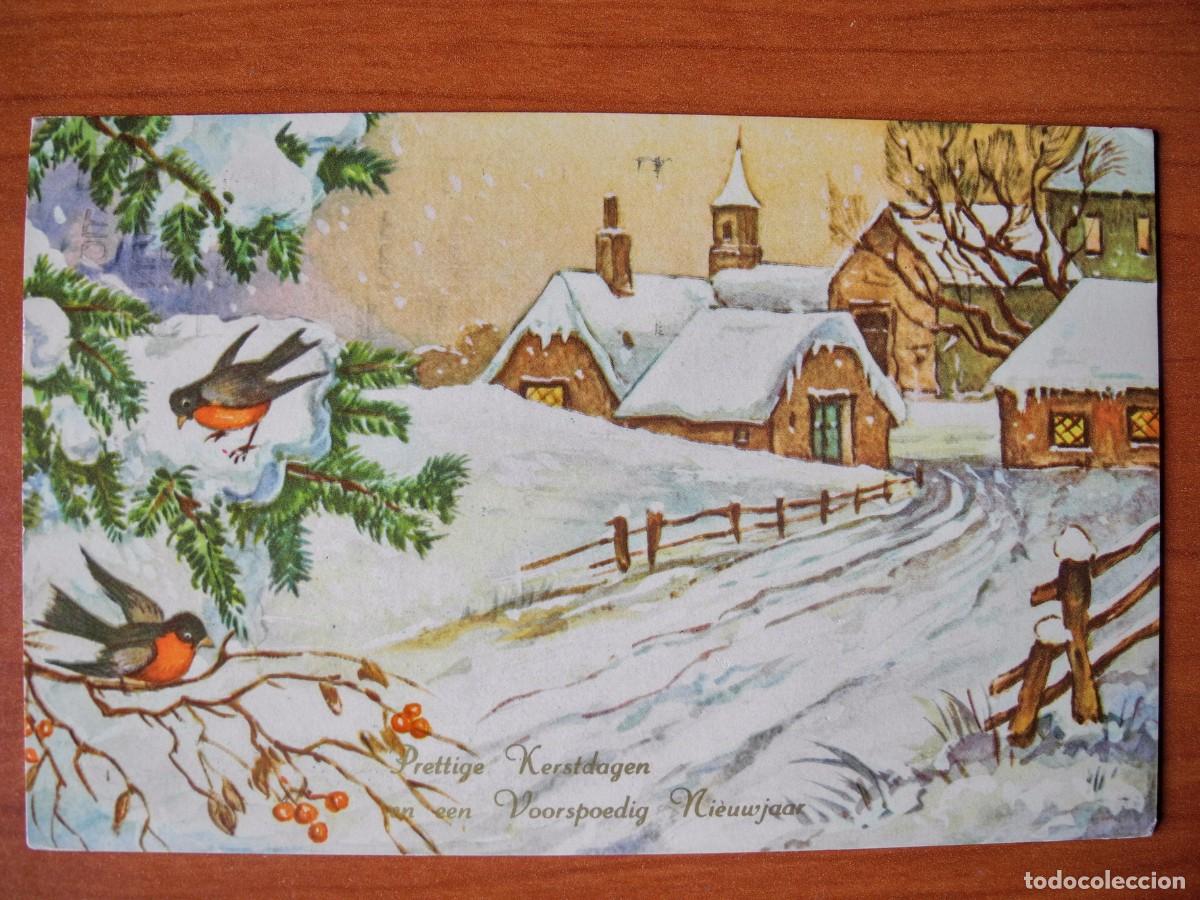 Postais: Postal Navidad Paisaje nevado p&aacute;jaro pajarito petirrojo Acabado brillante Circulada con sello 14x9