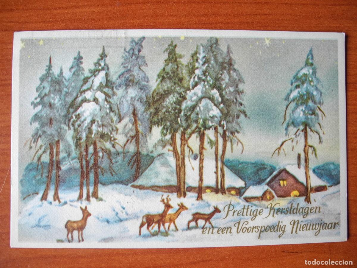 Postais: Postal Navidad Paisaje nevado ciervo cervatillo Circulada 14x9