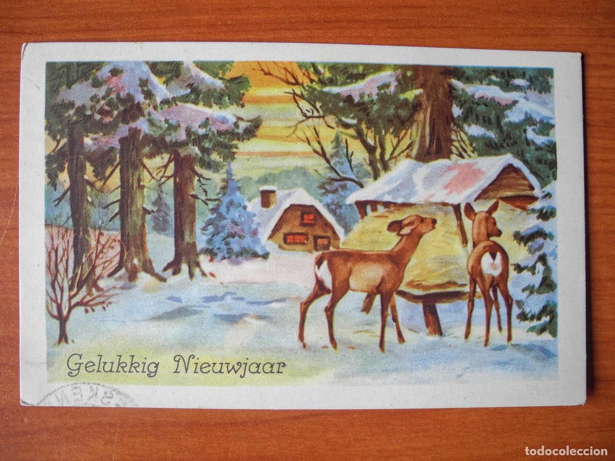 Postais: Postal Navidad Paisaje nevado ciervo cervatillo. Circulada sin sello 1956 14x9