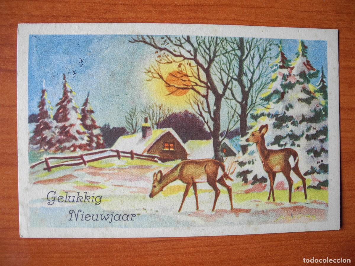 Postais: Postal Navidad Paisaje nevado ciervo cervatillo. Circulada con sello 1951 14x9
