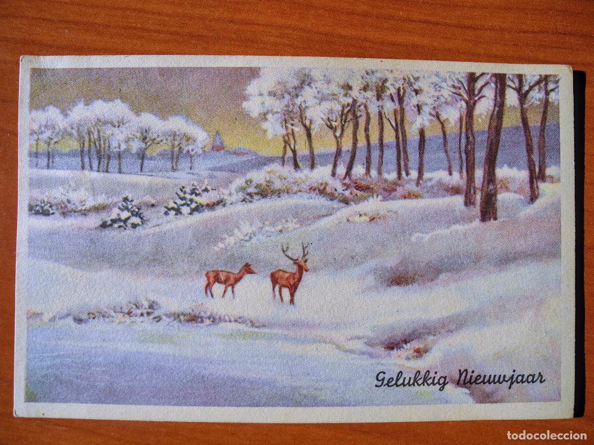 Postkarten: Postal Navidad Paisaje nevado ciervo cervatillo. Circulada sin sello 14x9