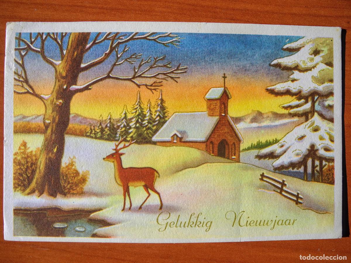 Postkarten: Postal Navidad Paisaje nevado ciervo cervatillo. Trazos dorados. Circulada con sello 1962 14x9