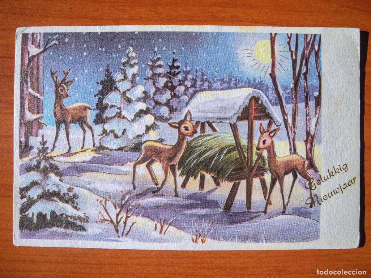 Cartes Postales: Postal Navidad Paisaje nevado ciervo cervatillo. Circulada sin sello 14x9