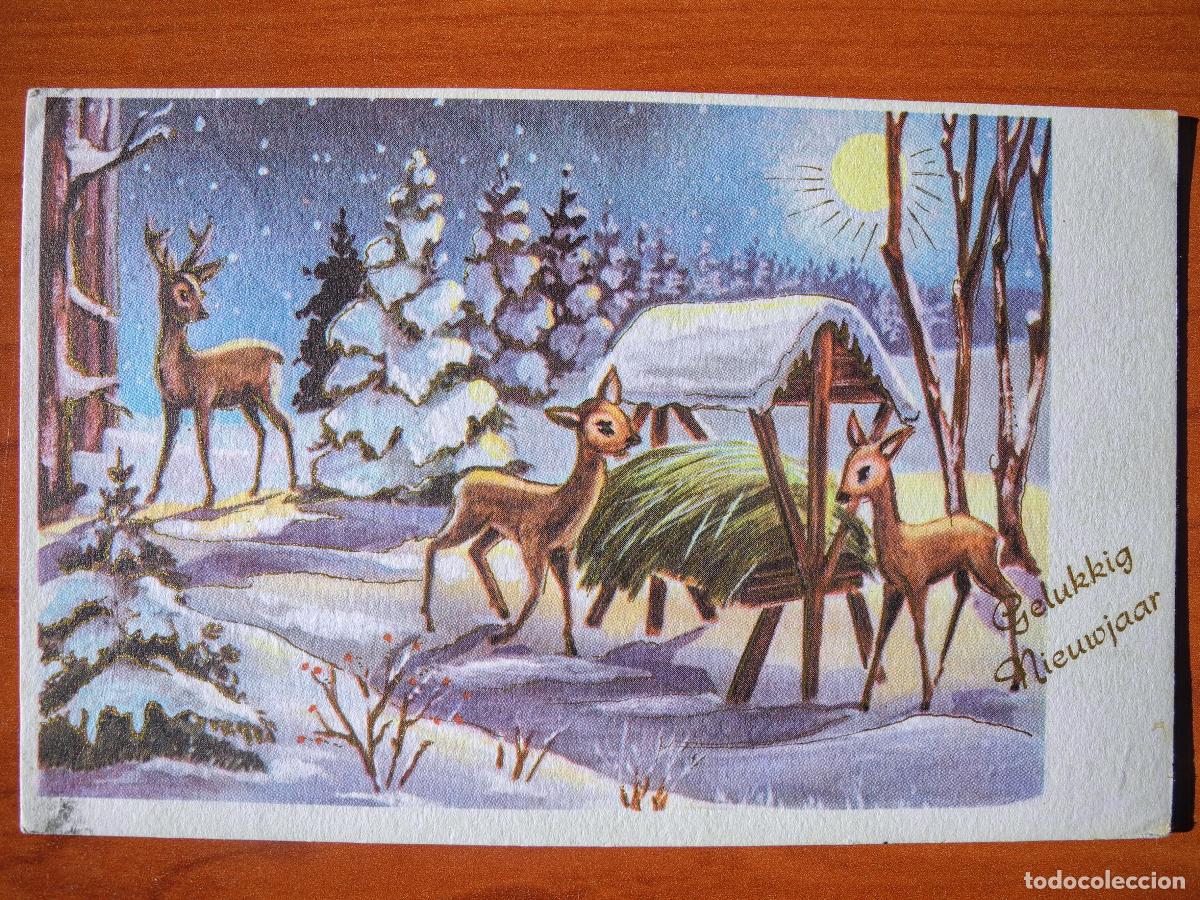 Postales: Postal Navidad Paisaje nevado ciervo cervatillo. Circulada con sello 1963 14x9