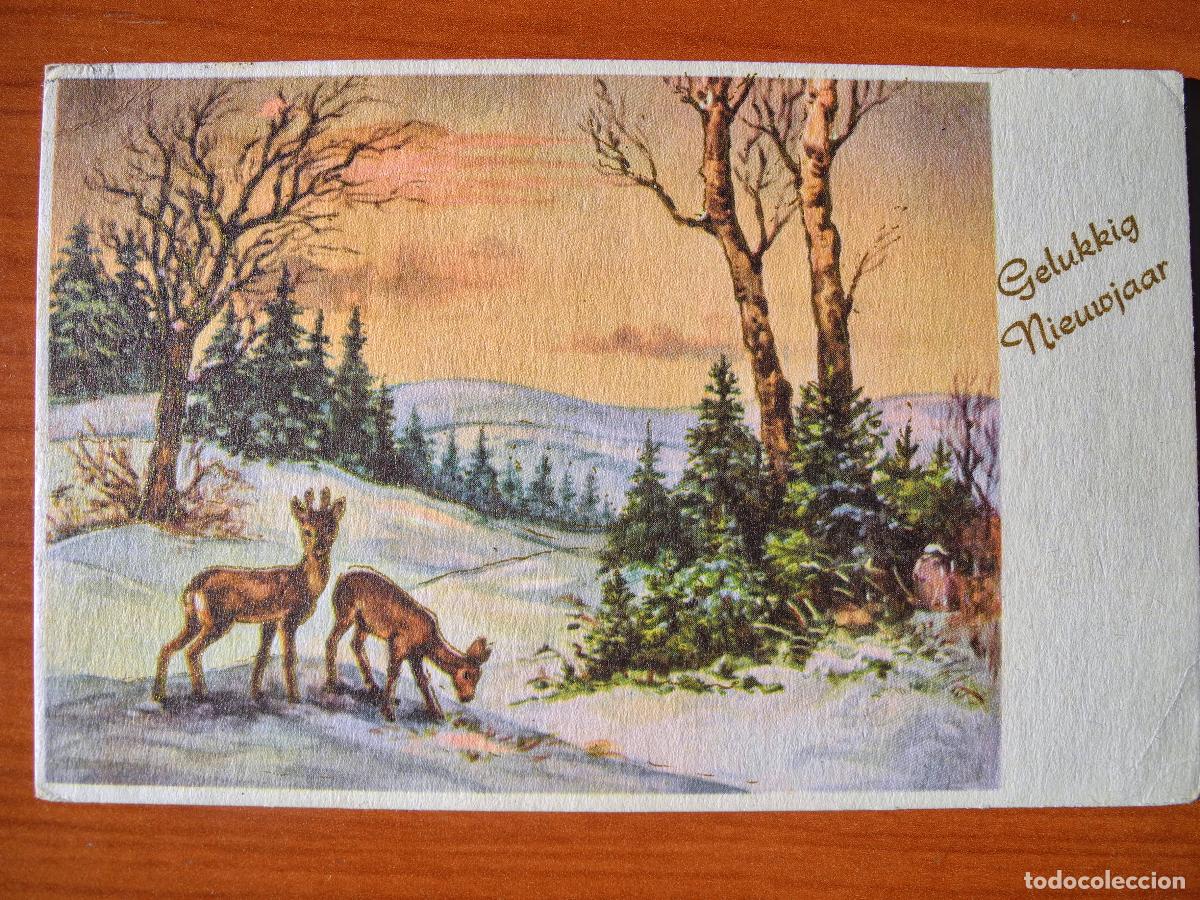Postcards: Postal Navidad Paisaje nevado ciervo cervatillo. Trazos dorados Circulada con sello 1961 14x9
