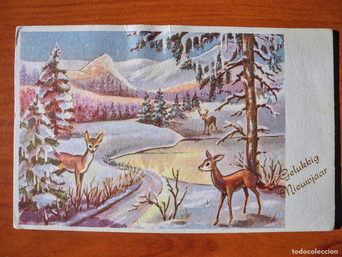 Postcards: Postal Navidad Paisaje nevado ciervo cervatillo. Trazos dorados Circulada con sello 1961 14x9