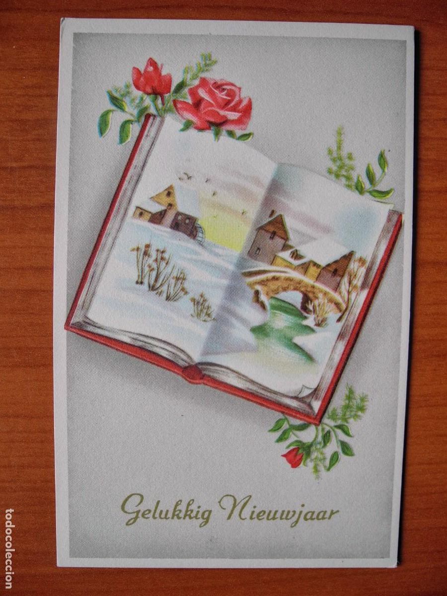 Postcards: Postal Navidad. Paisaje nevado. Flores rosas. Nueva 9x14