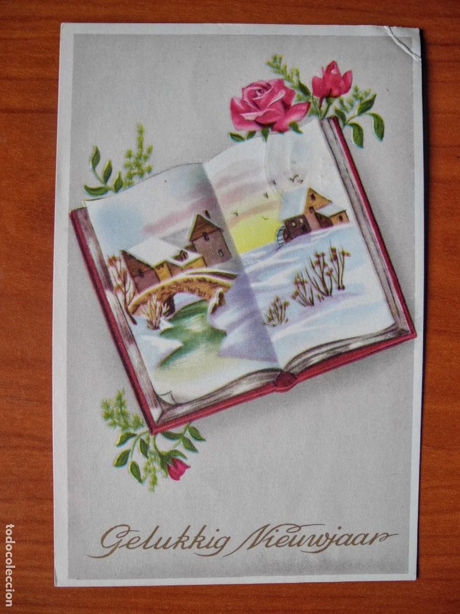 Postcards: Postal Navidad. Paisaje nevado. Flores rosas. Circulada con sello 1964 9x14