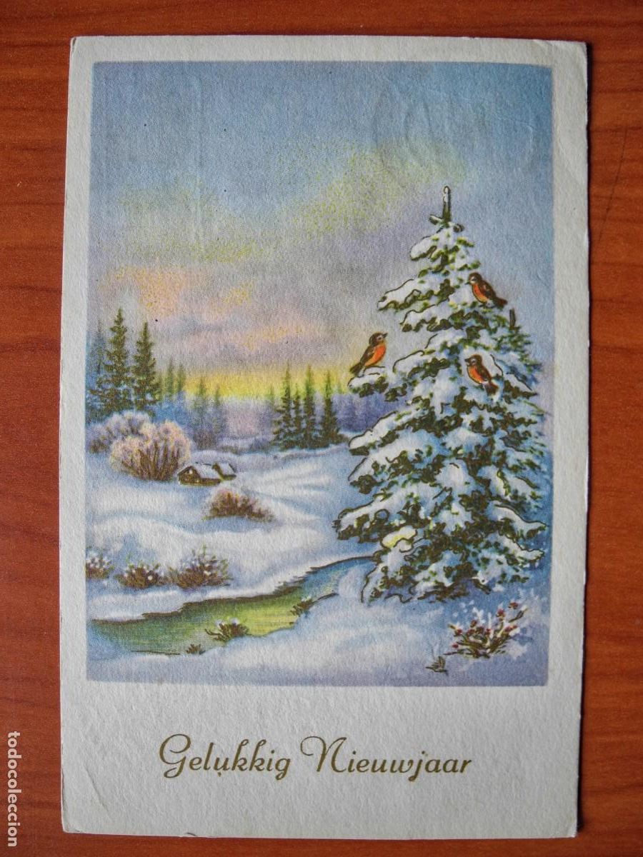 Cartoline: Navidad. Paisaje nevado. R&iacute;o. Trazos dorados. Circulada con sello 1960 9x14