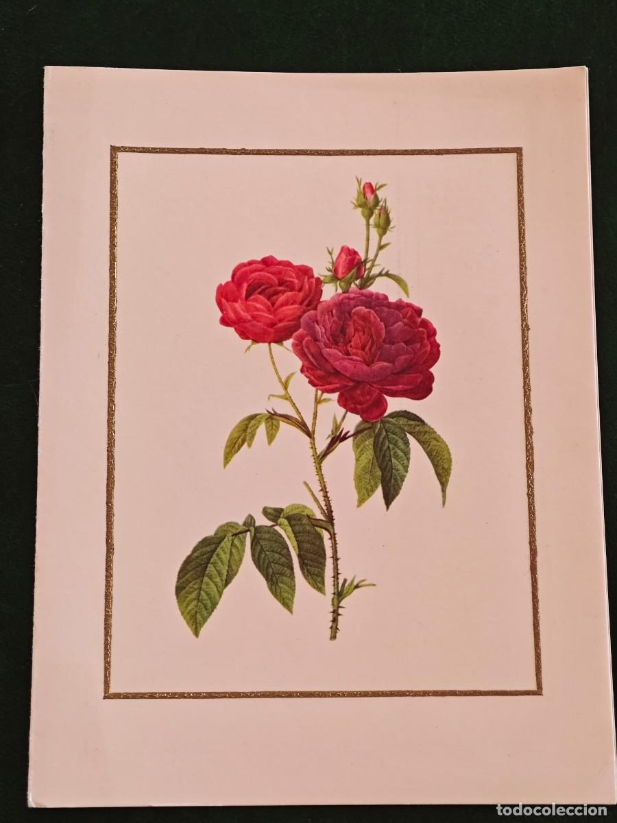 Postales: Postal de Francia Flores - Foto 1
