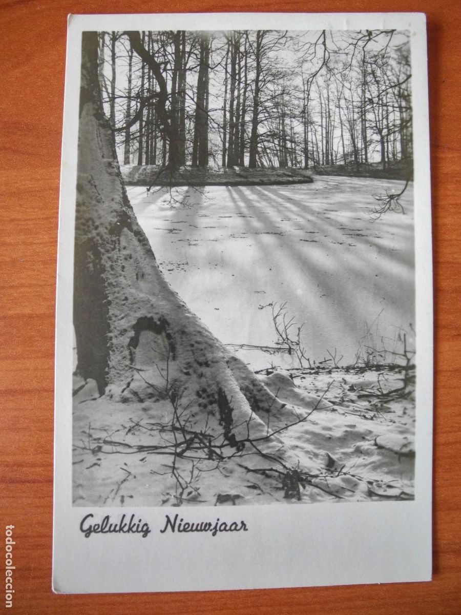 Postales: Navidad. Paisaje nevado. Fotografia. Circulada con sello 9x14