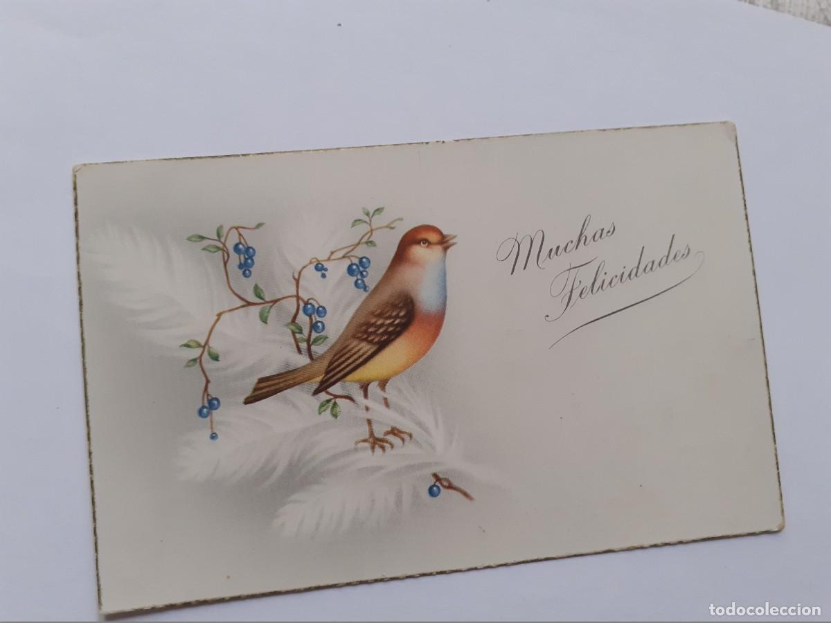 Postales: POSTAL - PAJARITO - NAVIDAD - ED. LTN 4006 - ESCRITA - Foto 1