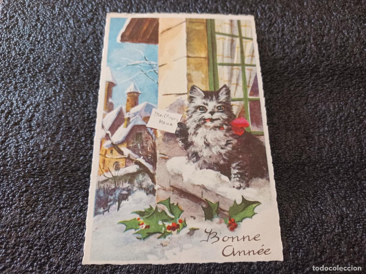 Postales: bonne annee, gatito, ed. M.D. Paris, circulada 1955