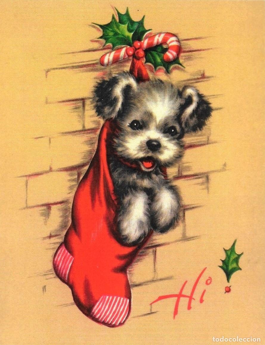 Postais: 8892 - PRECIOSO PERRITO EN UN CALCETIN NAVIDE&Ntilde;O- SERIE CE-5002- 14X11 CM