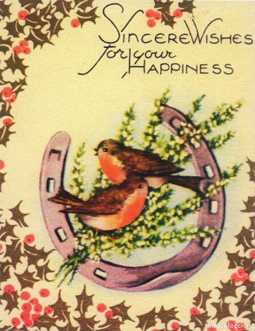 Postais: 8898 - SINCERO DESEO PARA TI FELICIDAD - HERRADURA , PAJARITOS -SERIE CE-5002- 14X11 CM