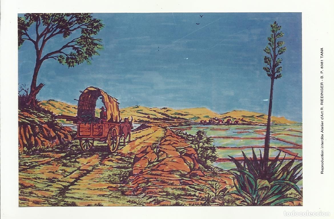 Postcards: Postal Navidad. R. Riedinger. Tana. Madagascar. Una p&aacute;gina. 1999. 10x15 cm. Escrita.