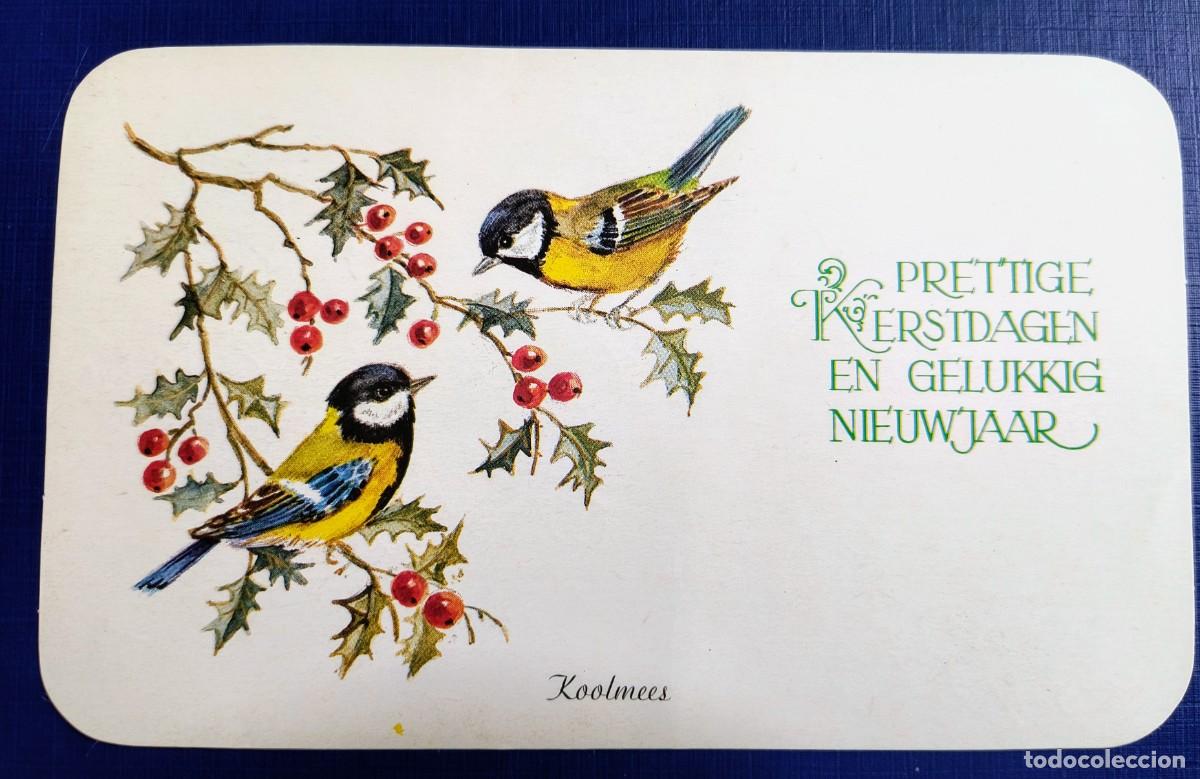 Postales: POSTAL DE NAVIDAD DE PAJARILLOS - KOOLMEES - Foto 1