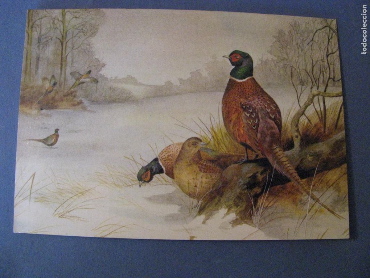 Postais: POSTAL DIPTICA DE NAVIDAD. REINO UNIDO 14X10 CM. ESCRITA.