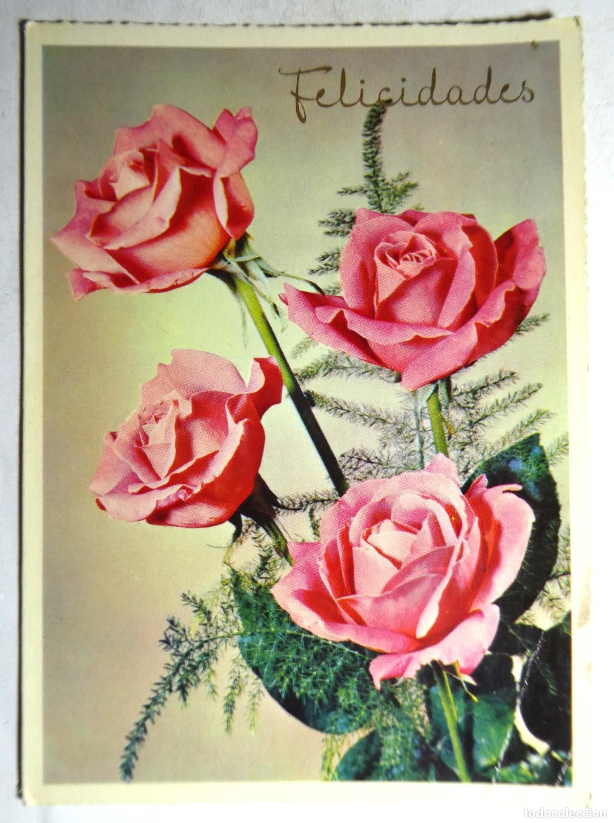 Postales: Postal doble de Navidad ,sin escribir - Foto 1