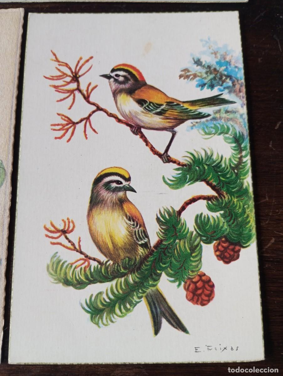 Postales: CINCO POSTALES CON TEM&Aacute;TICA NAVIDAD - Foto 4