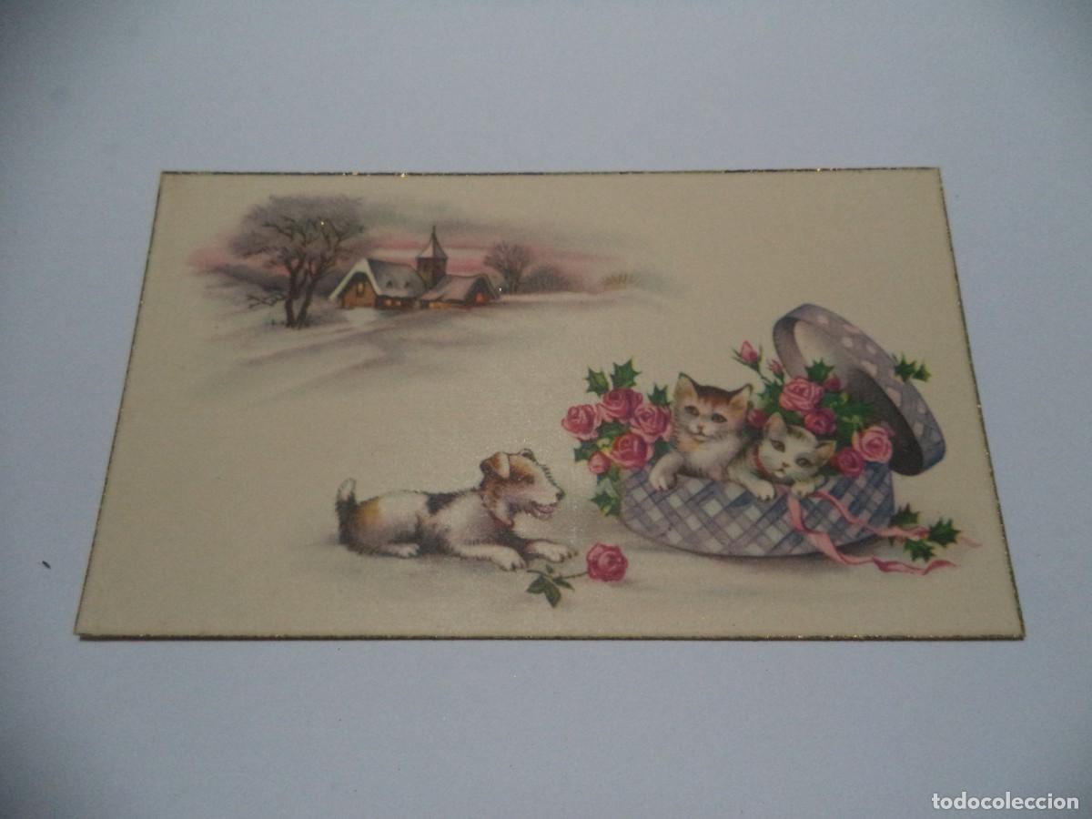 Postales: Postal dibujada C y Z. - Foto 1
