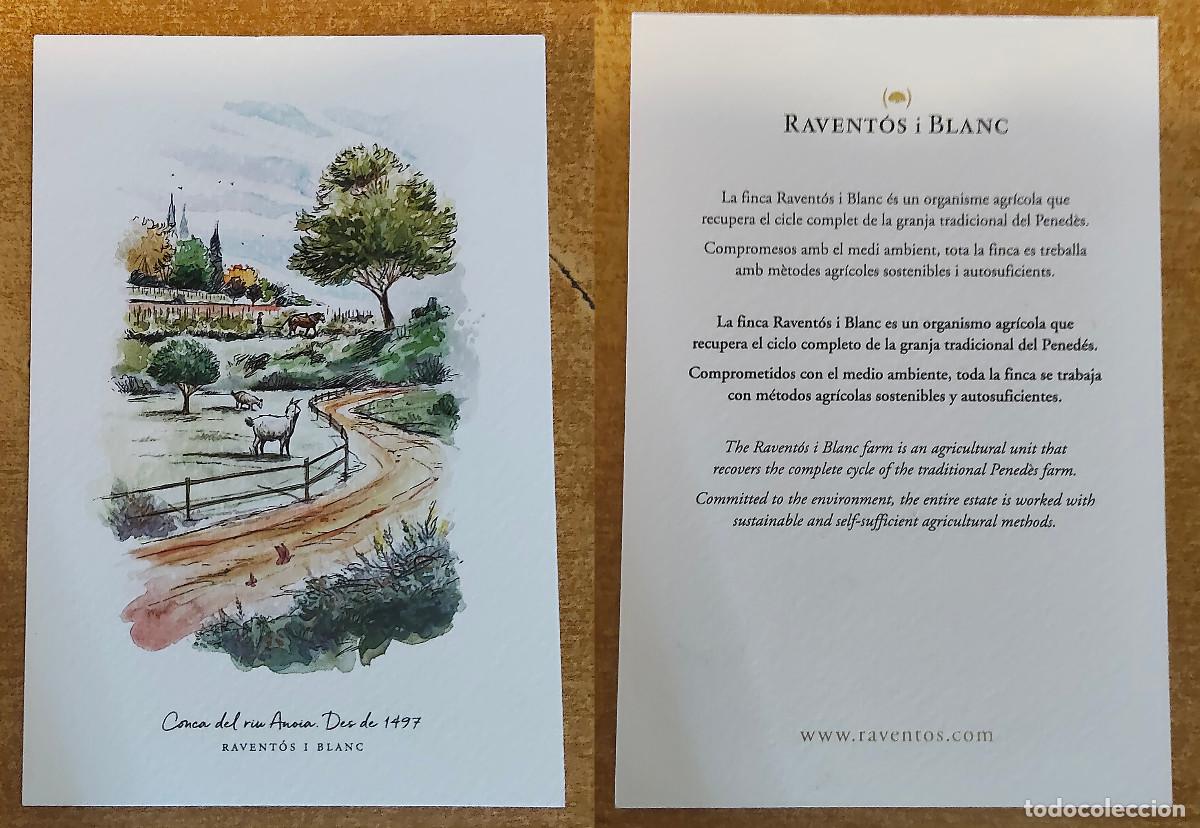 Postales: Postal del cava Ravent&oacute;s i Blanc - Foto 1