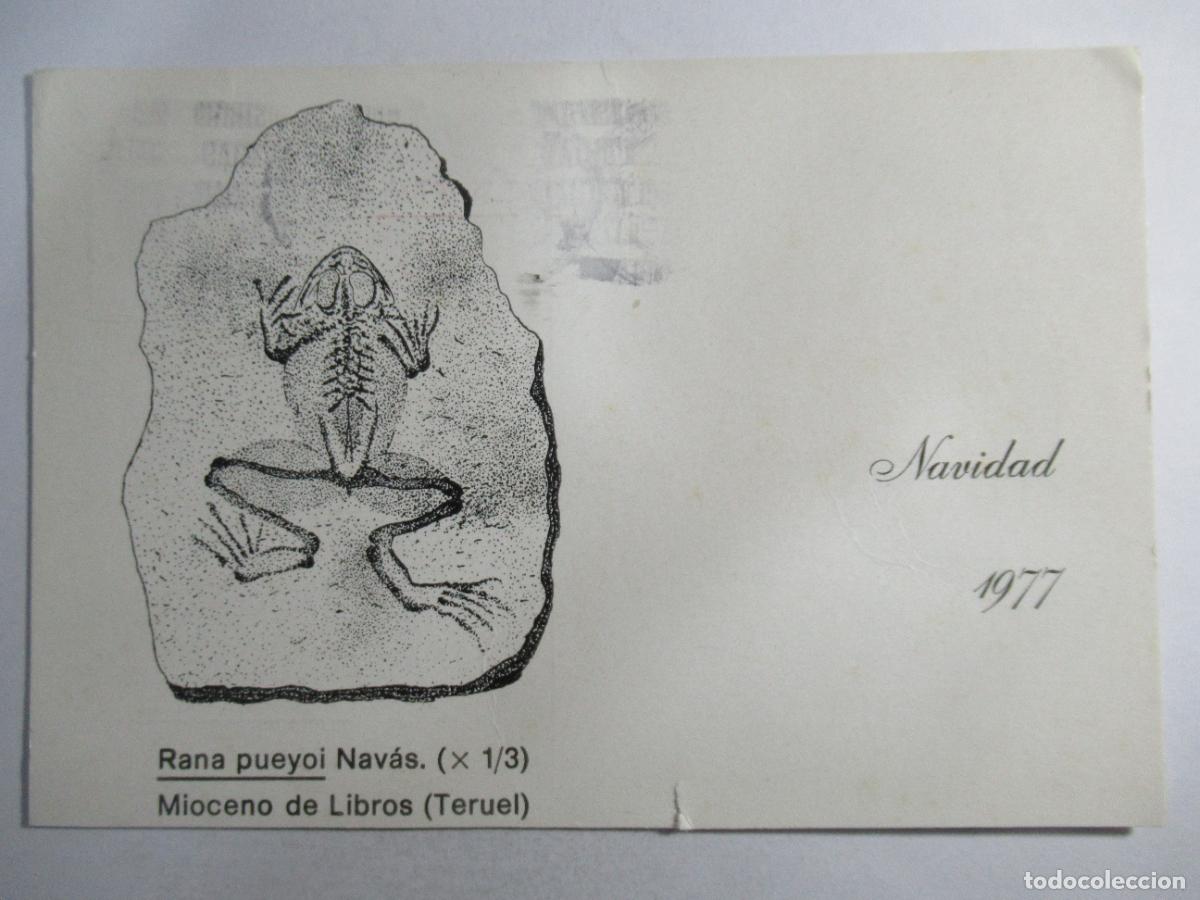 Postales: Postal Navidad - Circulada - Foto 1