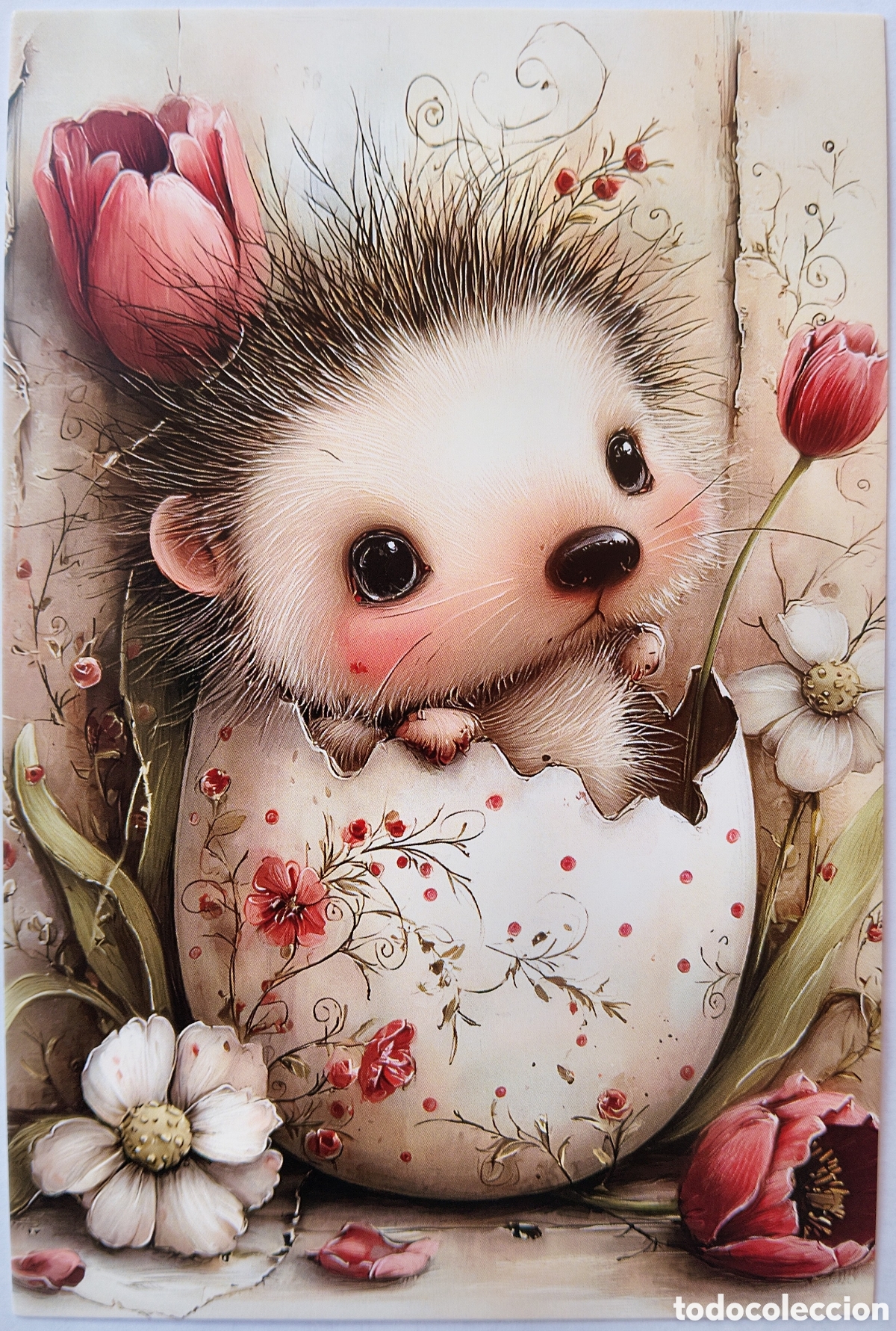 Postales: POSTAL - ERIZO FLORES