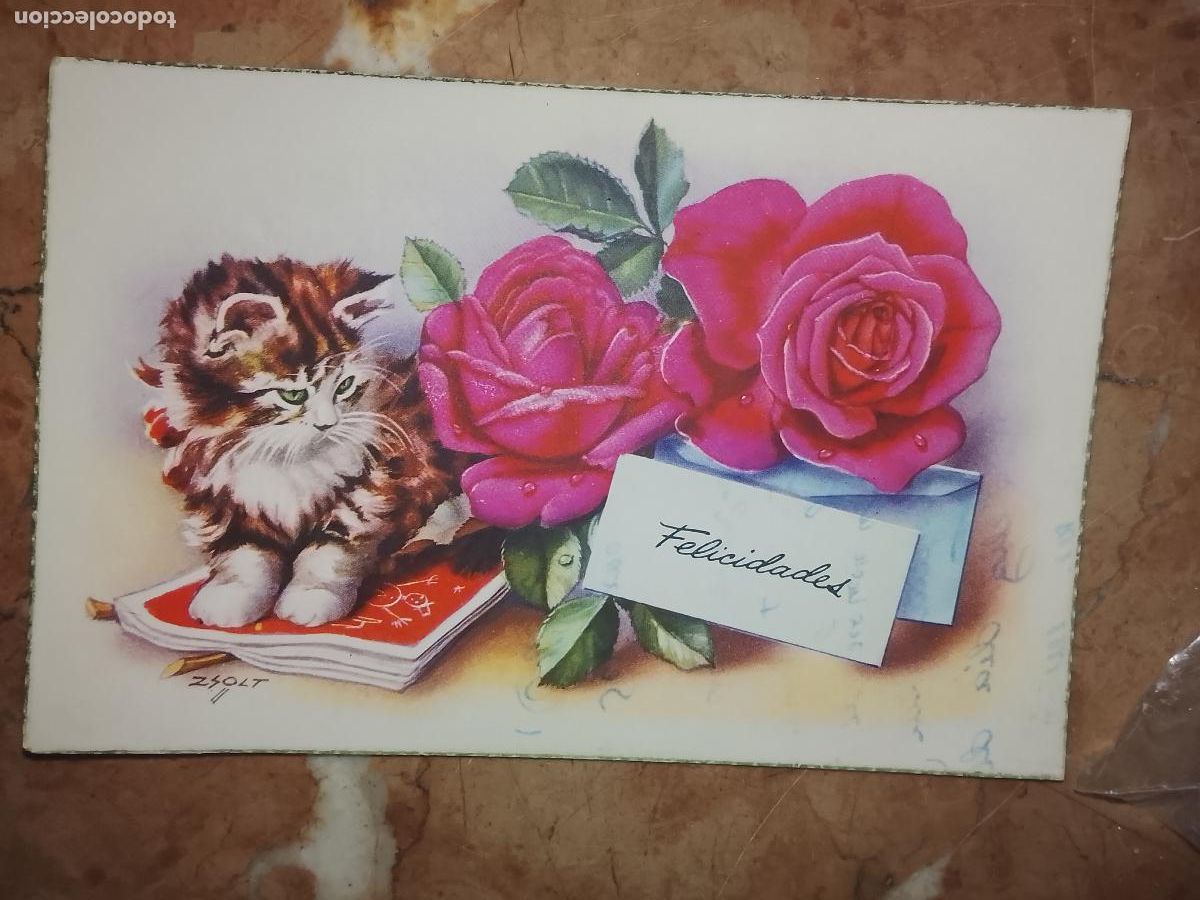 Postales: felicitacion de navidad . - FELICITACION NAVIDAD TARJETA POSTAL GATOS FLORES