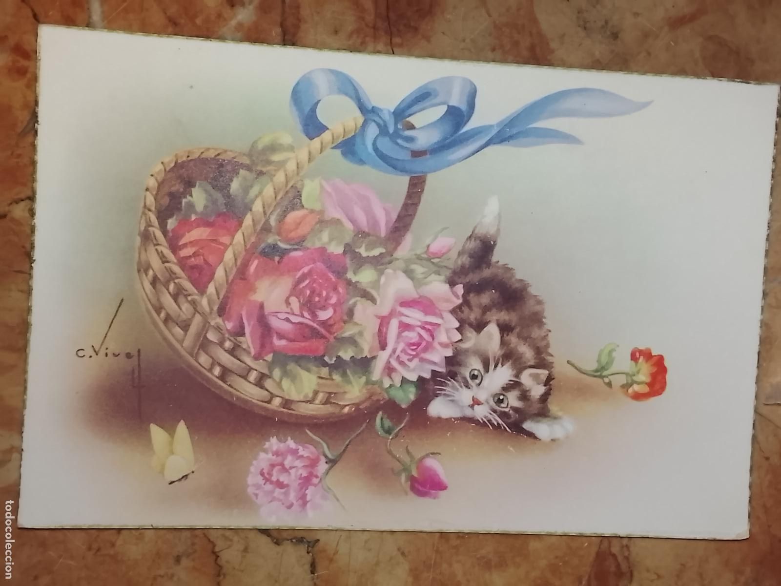 Postales: felicitacion de navidad . - FELICITACION NAVIDAD TARJETA POSTAL GATO FLORES