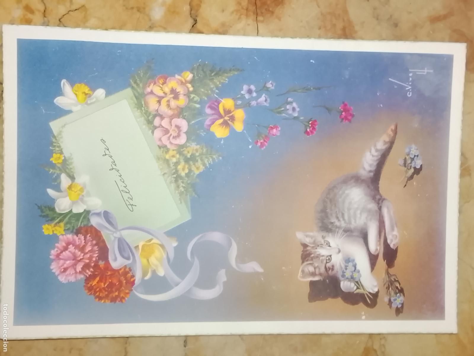 Postales: felicitacion de navidad . - FELICITACION NAVIDAD TARJETA POSTAL GATO FLORES