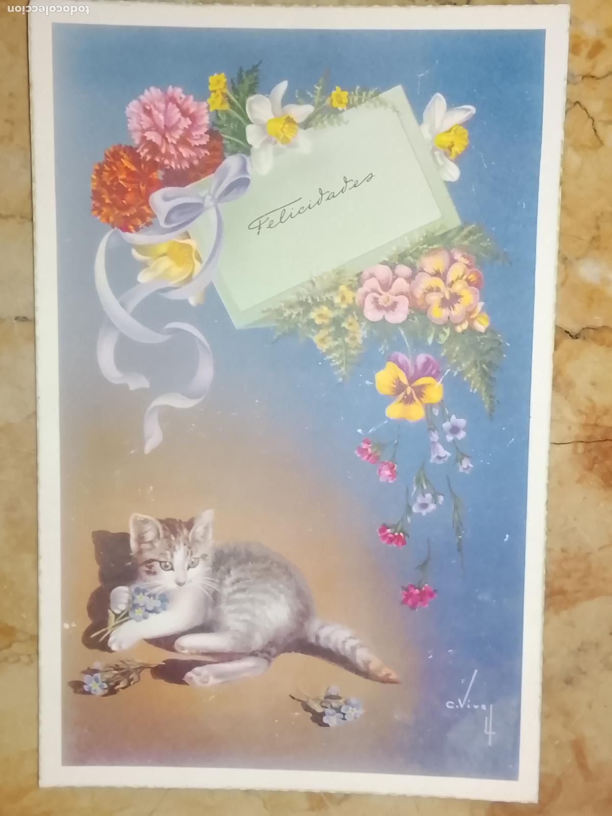Postales: felicitacion de navidad . - FELICITACION NAVIDAD TARJETA POSTAL GATO FLORES