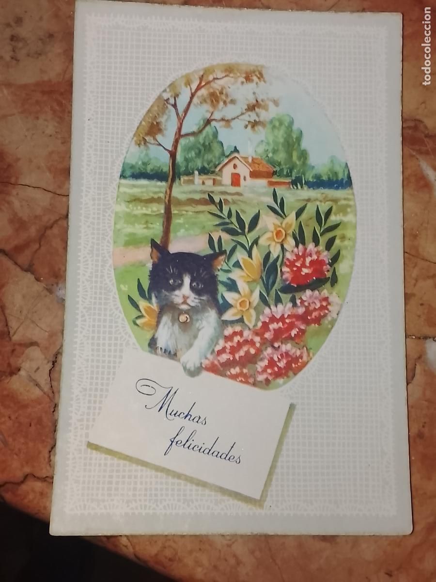 Postales: felicitacion de navidad . - FELICITACION NAVIDAD TARJETA POSTAL GATO FLORES
