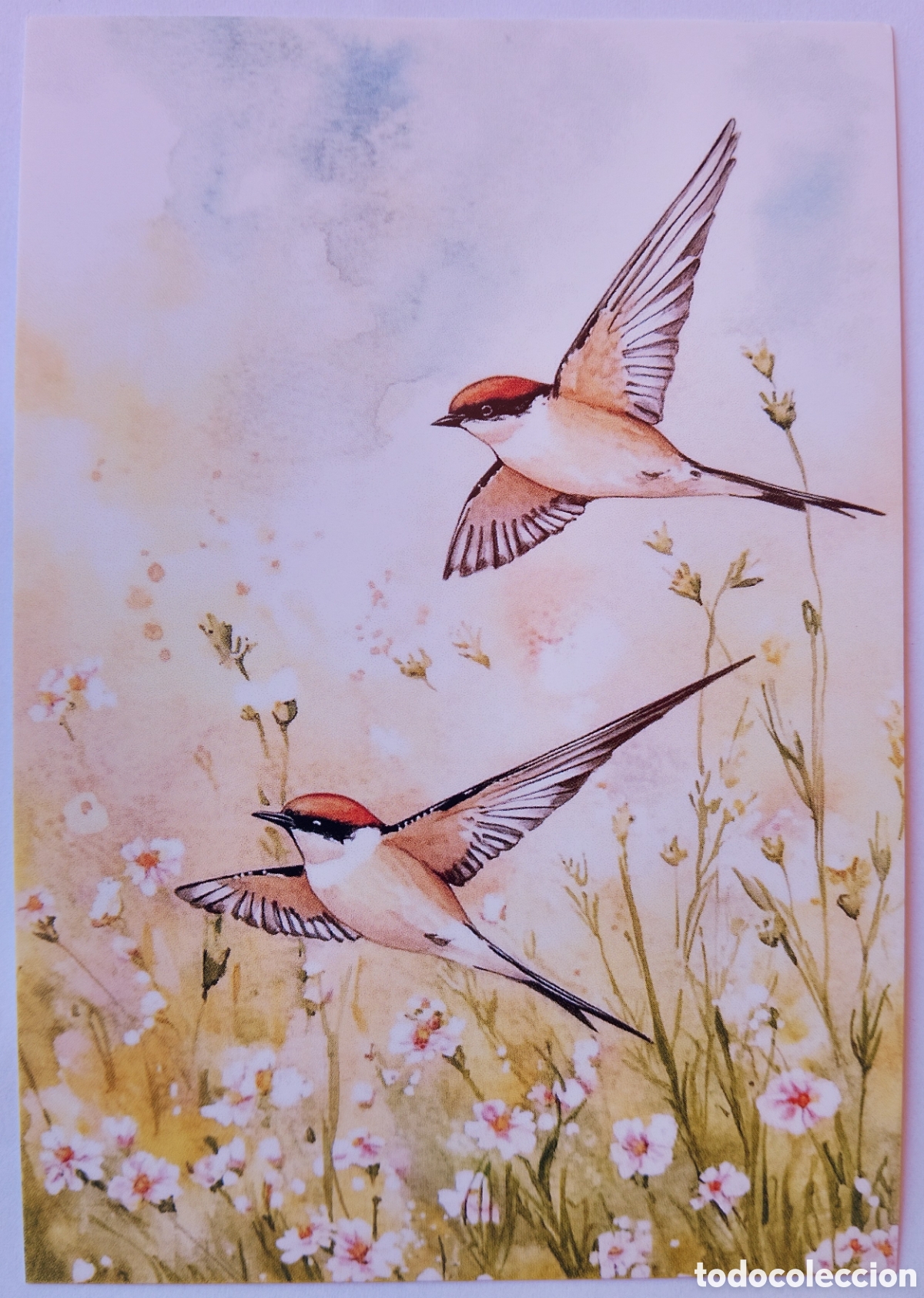 Postales: POSTAL - PAJARITOS GOLONDRINAS FLORES - ESTILO ANTIGUO