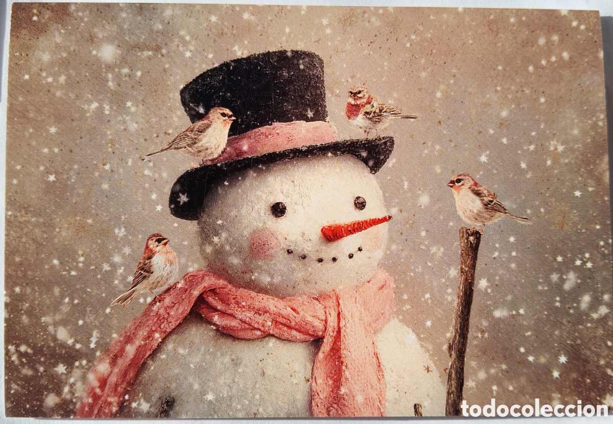 Postales: FELICITACI&Oacute;N NAVIDAD - MU&Ntilde;ECO DE NIEVE PAJARITOS