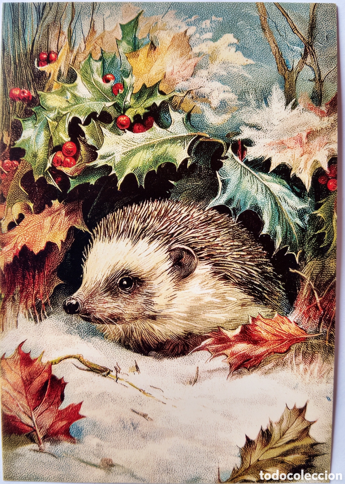 Postales: POSTAL NAVIDAD - ERIZO ACEBO PAISAJE NEVADO - ESTILO ANTIGUO