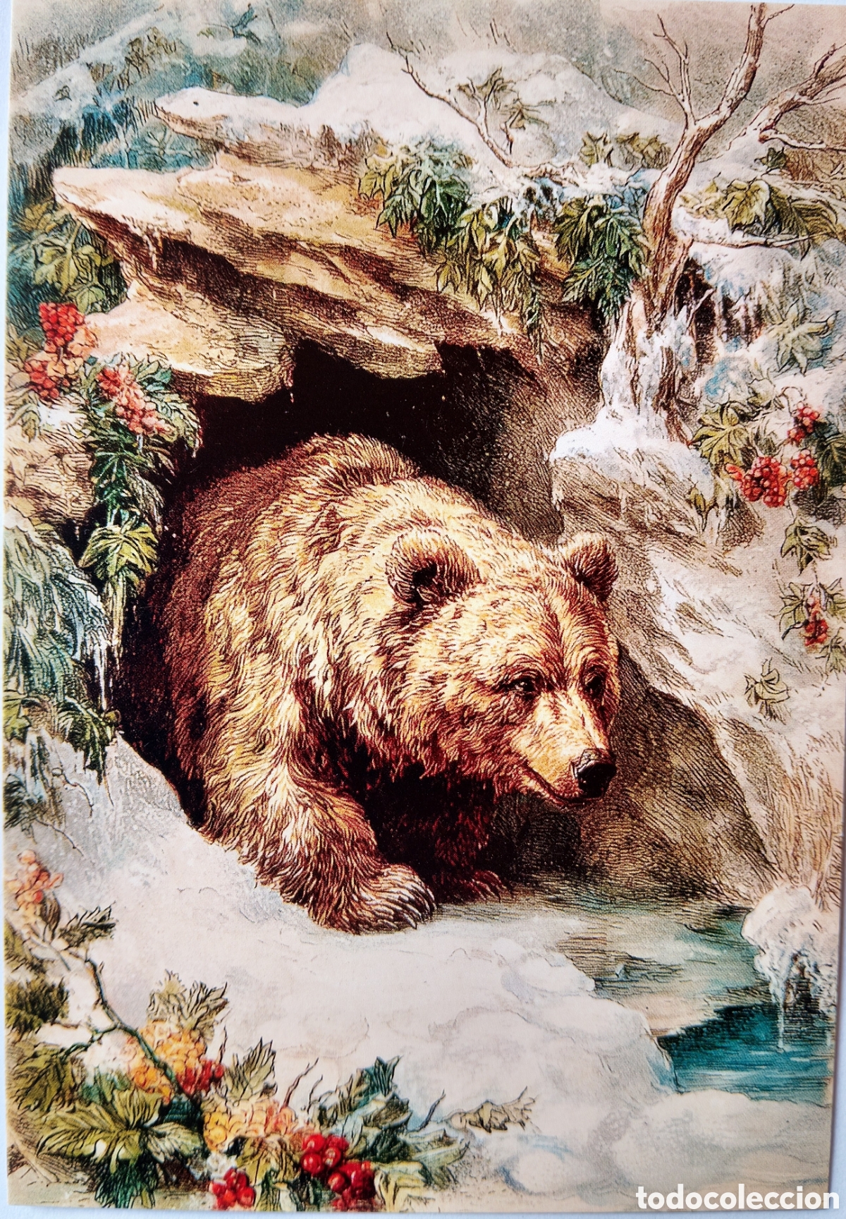 Postales: POSTAL NAVIDAD - OSO PAISAJE NEVADO - ESTILO ANTIGUO