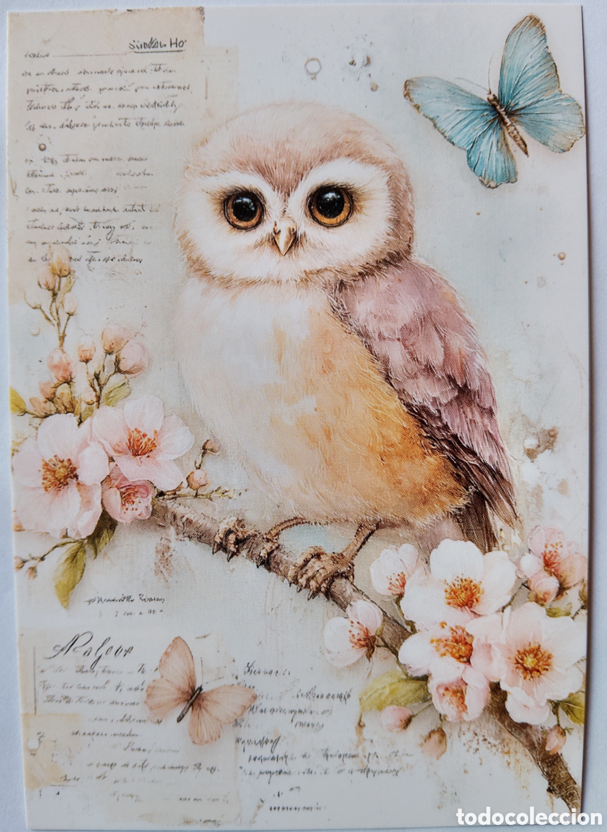 Postales: POSTAL NAVIDAD - B&Uacute;HO MARIPOSA FLORES - ESTILO ANTIGUO