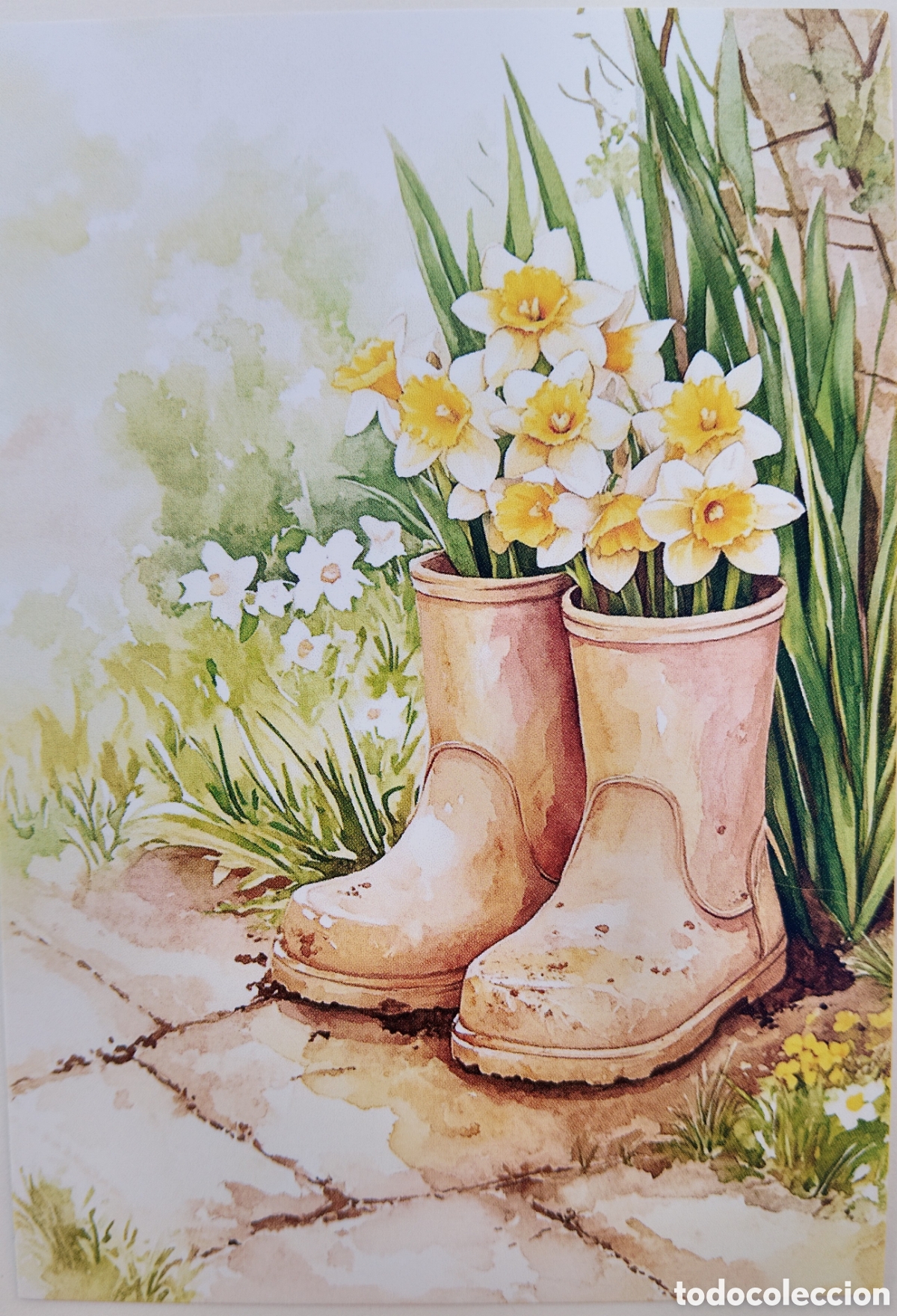 Postales: POSTAL - MACETA BOTAS DE AGUA FLORES NARCISOS - ESTILO ANTIGUO
